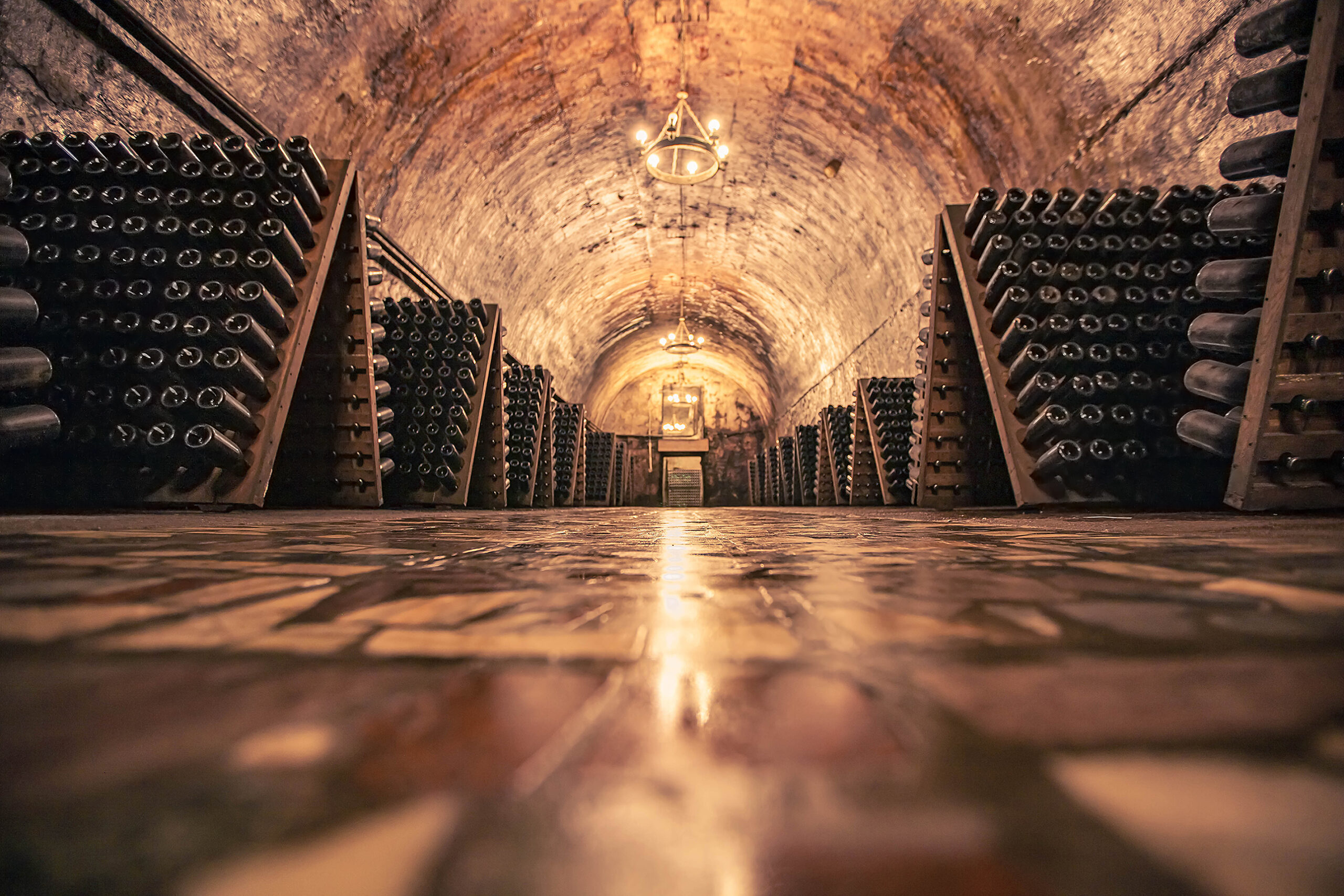 Vaulted champagne cellar